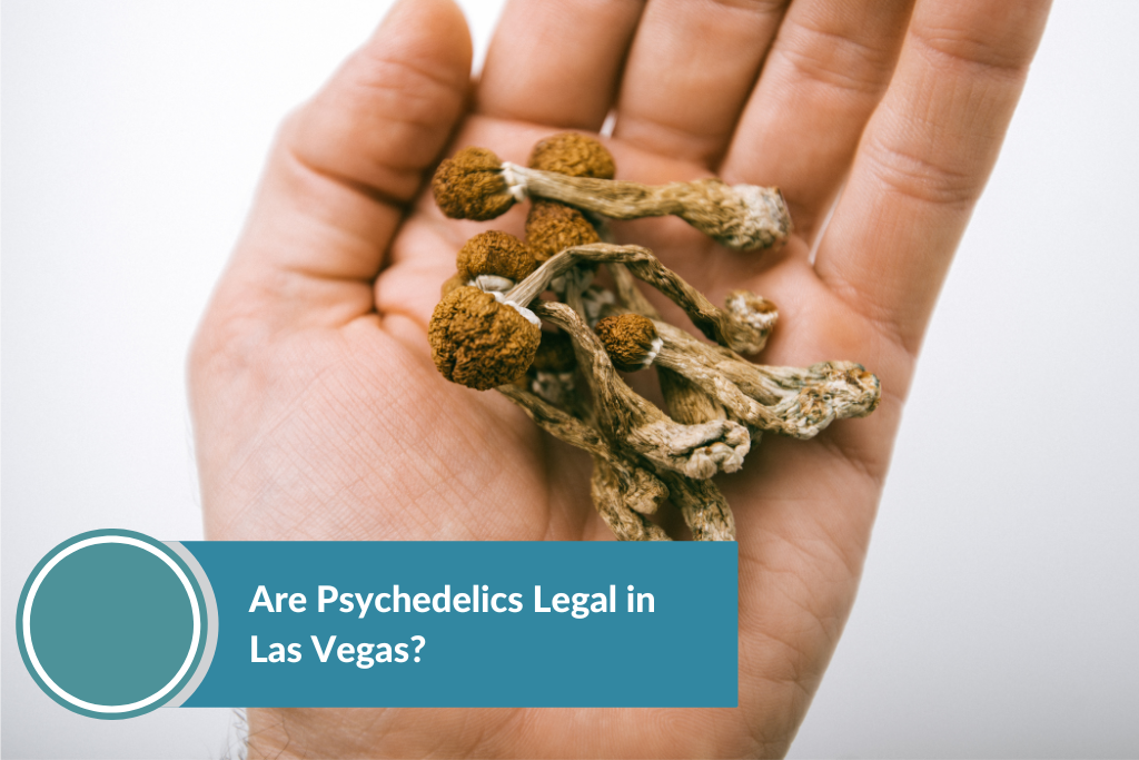 psilocybin found in magic mushroom is prohibited in Las Vegas, Nevada